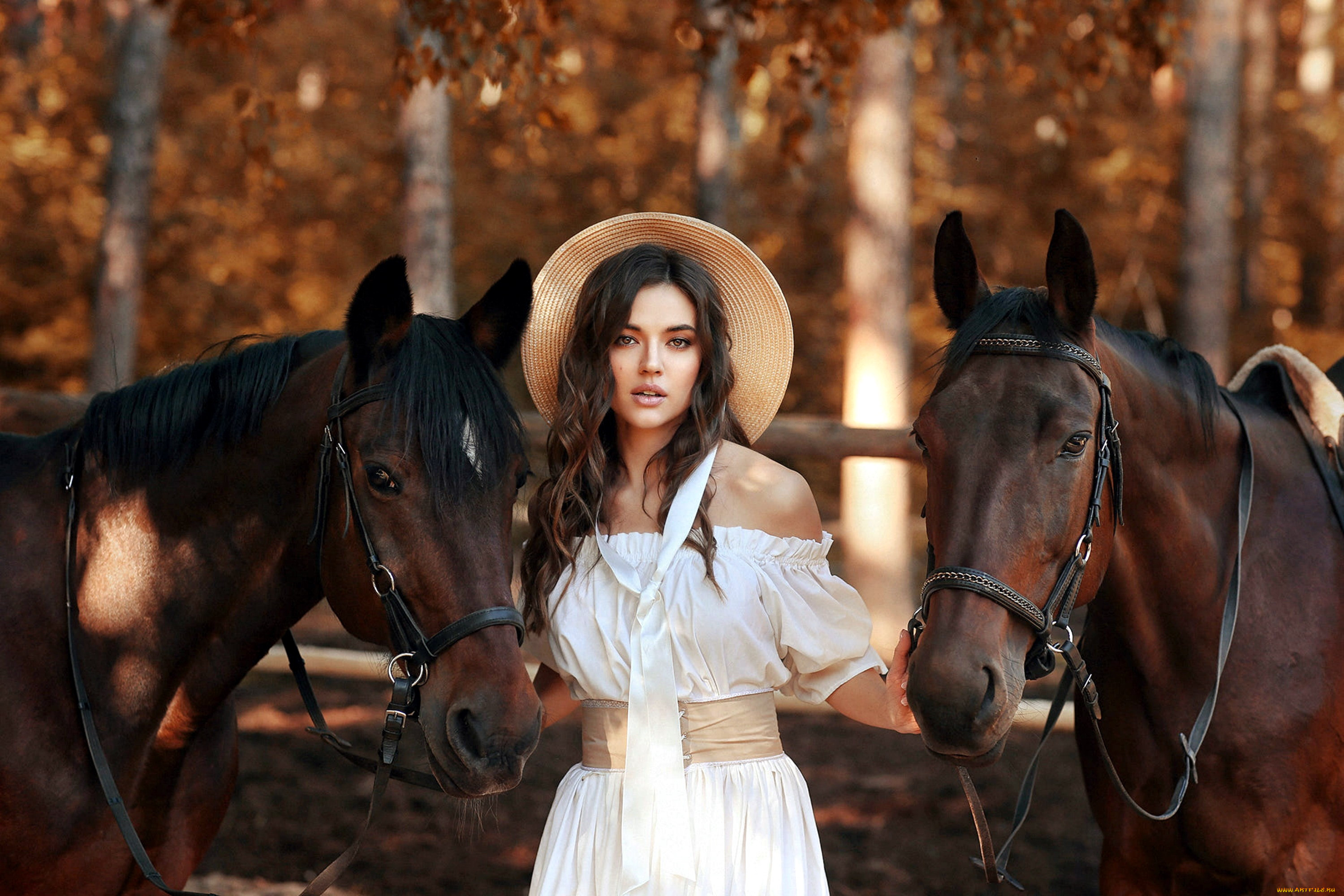 Женщина лошадь. Dmitry Arhar фотограф. Ксения Барышева модель. Лошади фотограф Andrew MCGIBBON. Фотосессия с лошадью в шляпе.